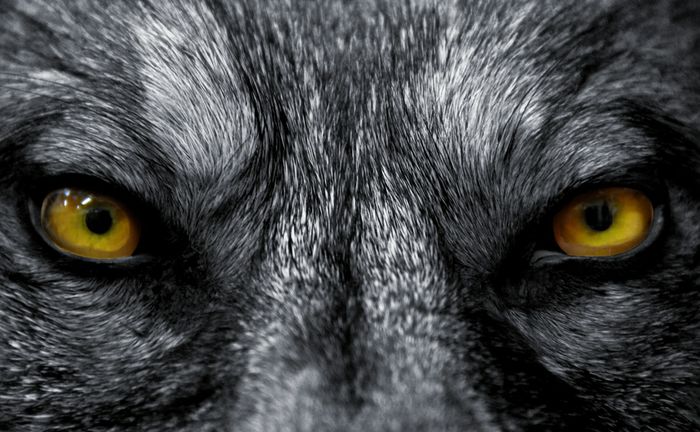 Keep an eye on your old domain names