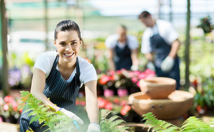 5 Things All Small Businesses Need to Know