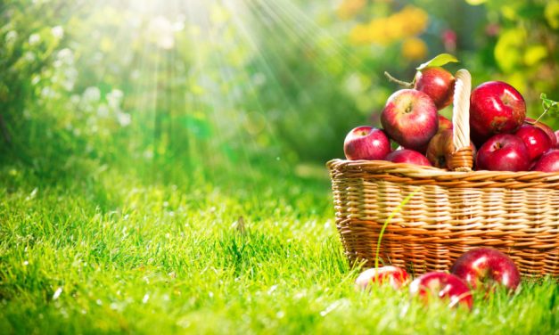 Brexit Apple Grower Windfall