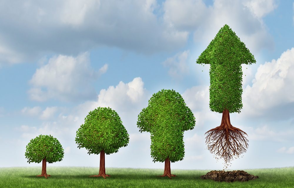 Grow Your Startup